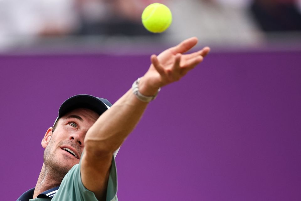 人们该如何 人们该如何